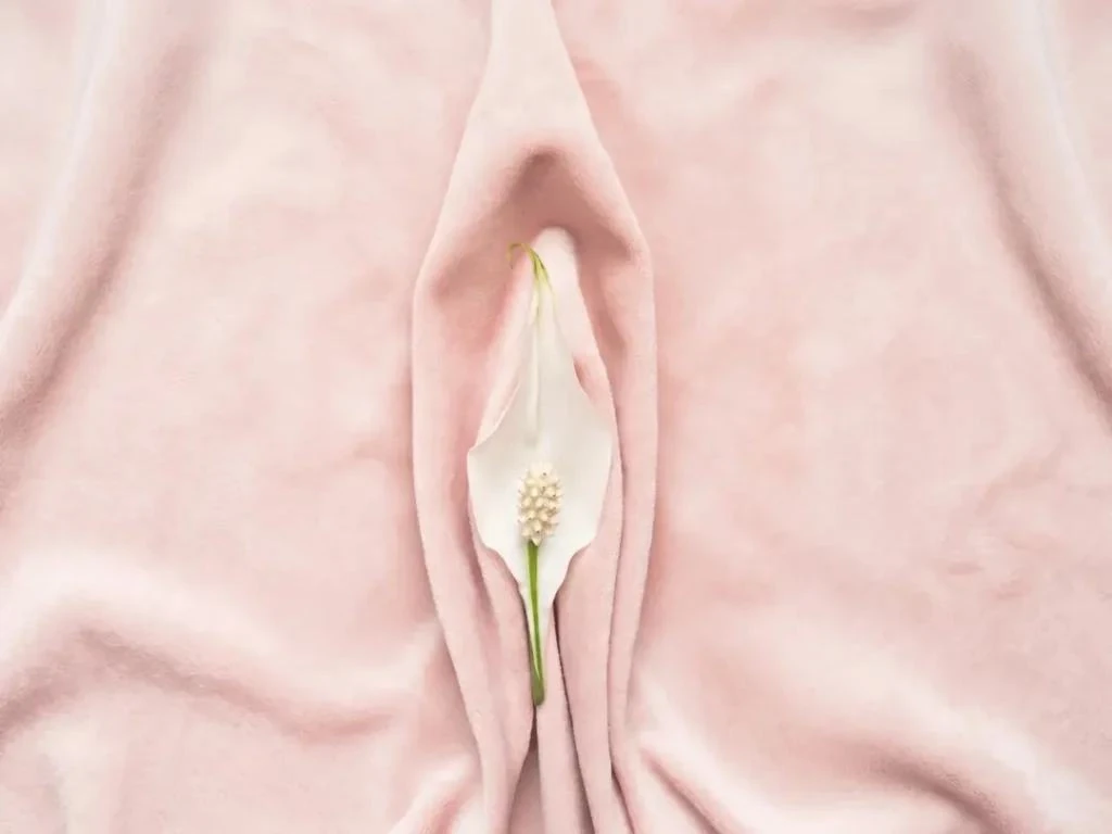 perineal body shaping