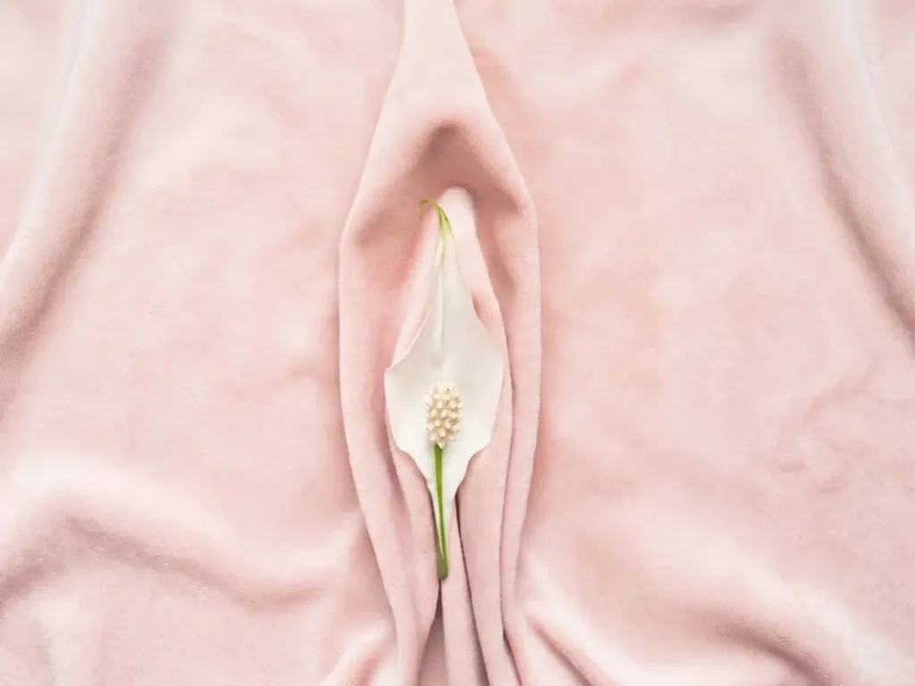 회음체 성형